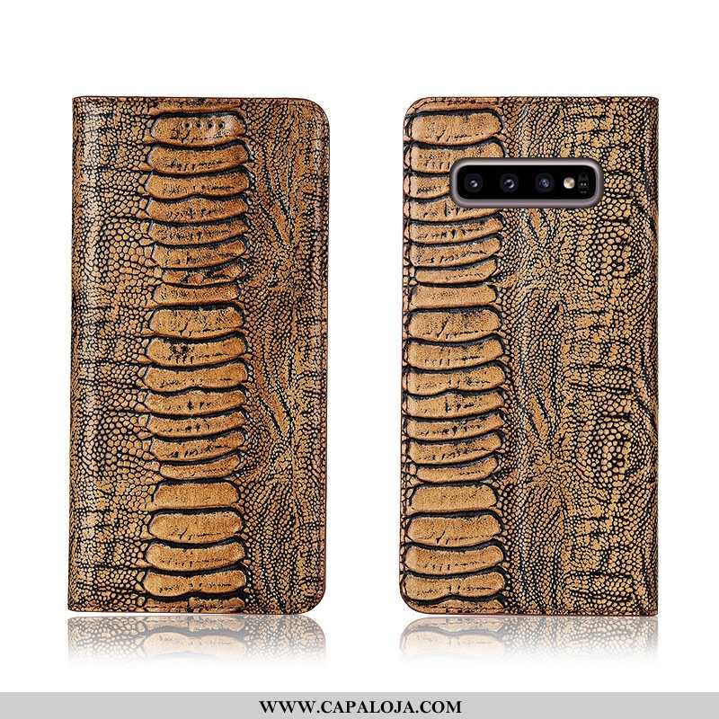 Capa Samsung Galaxy S10+ Soft Masculino Pássaro Telemóvel Castanho, Capas Samsung Galaxy S10+ Protet